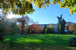 Rentenwiese / Arboretum